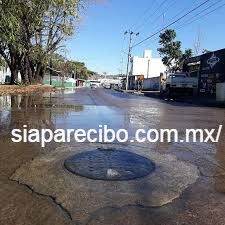 Siapa Reportes